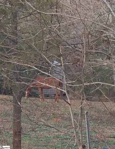 $75,000 | 469 Boyce Page Road, Honea Path, SC 29654