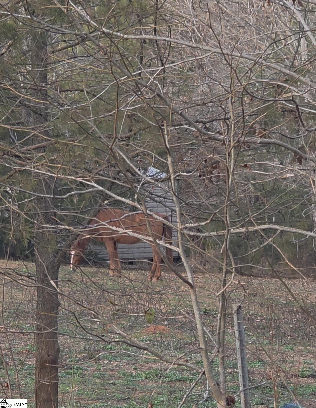 469 Boyce Page Road Honea Path, SC 29654 - Photo 10 of 14