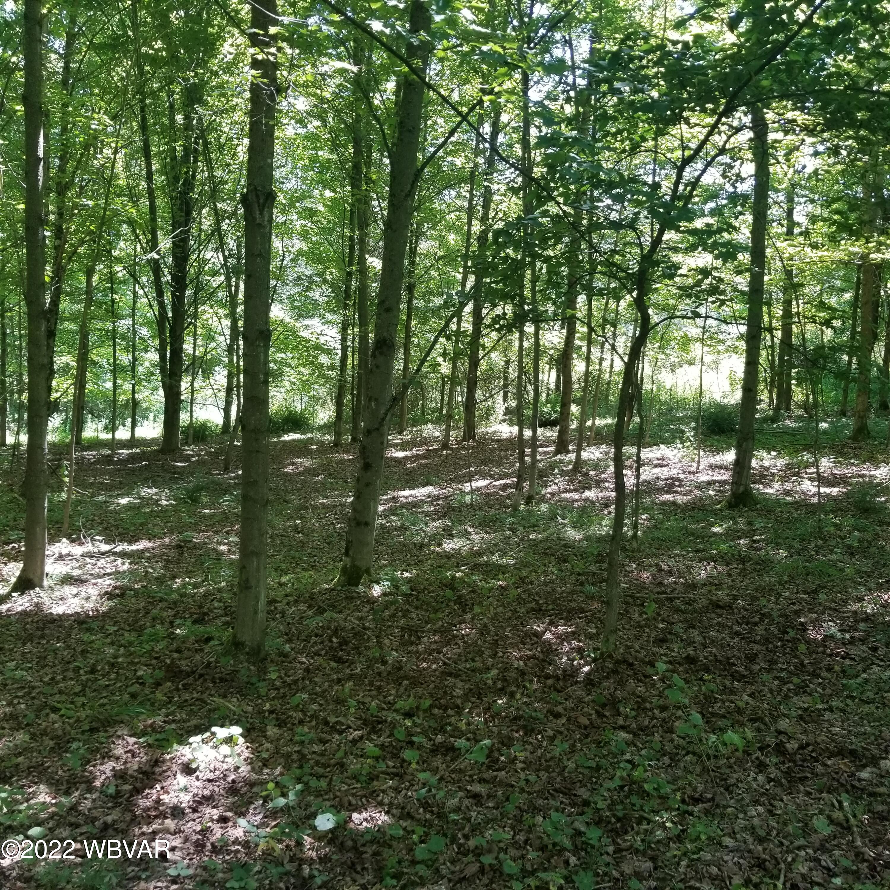 Overton Road Dushore, PA 18614 - Photo 2 of 26 Gallery Image 2