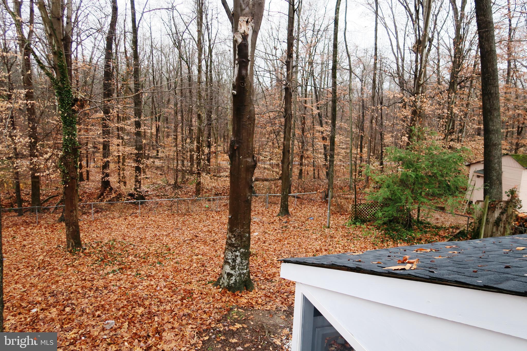 5302 Inverchapel Road Springfield, VA 22151 - Photo 46 of 49