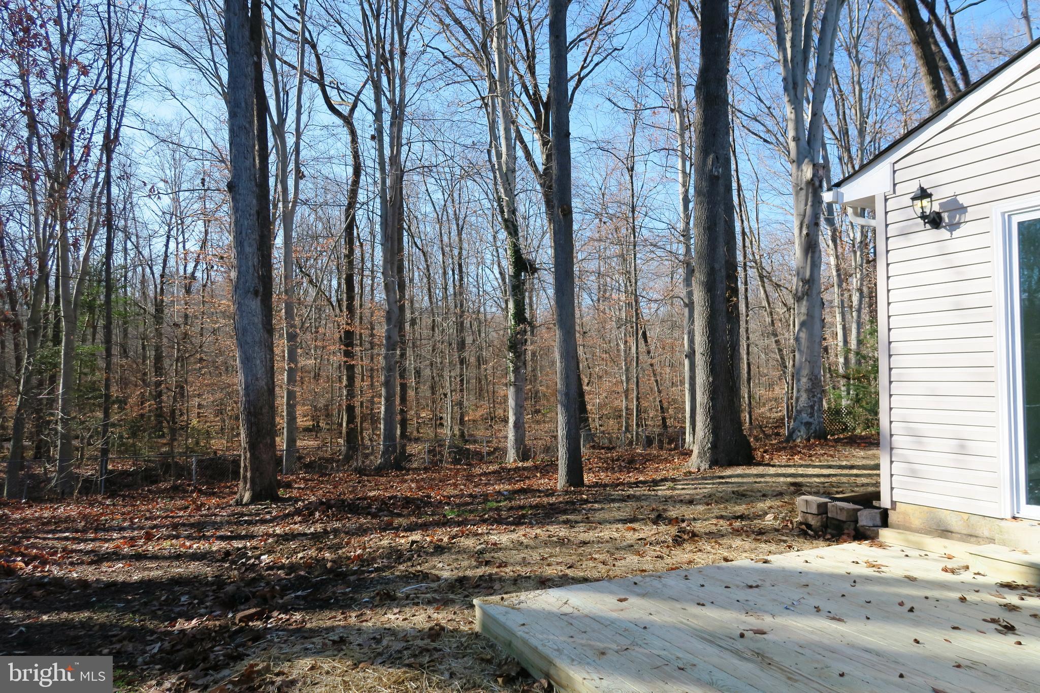 5302 Inverchapel Road Springfield, VA 22151 - Photo 48 of 49
