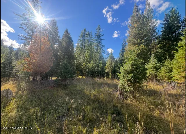 $84,000 | Nna Tanglewood Drive, Priest River, ID 83856