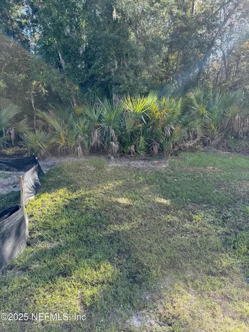 a view of a yard with a tree
