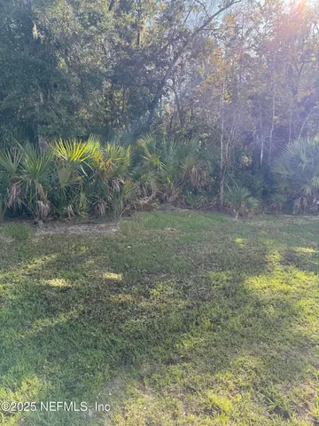 a view of a yard with a tree