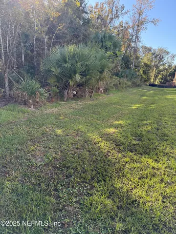 a view of a field with an trees