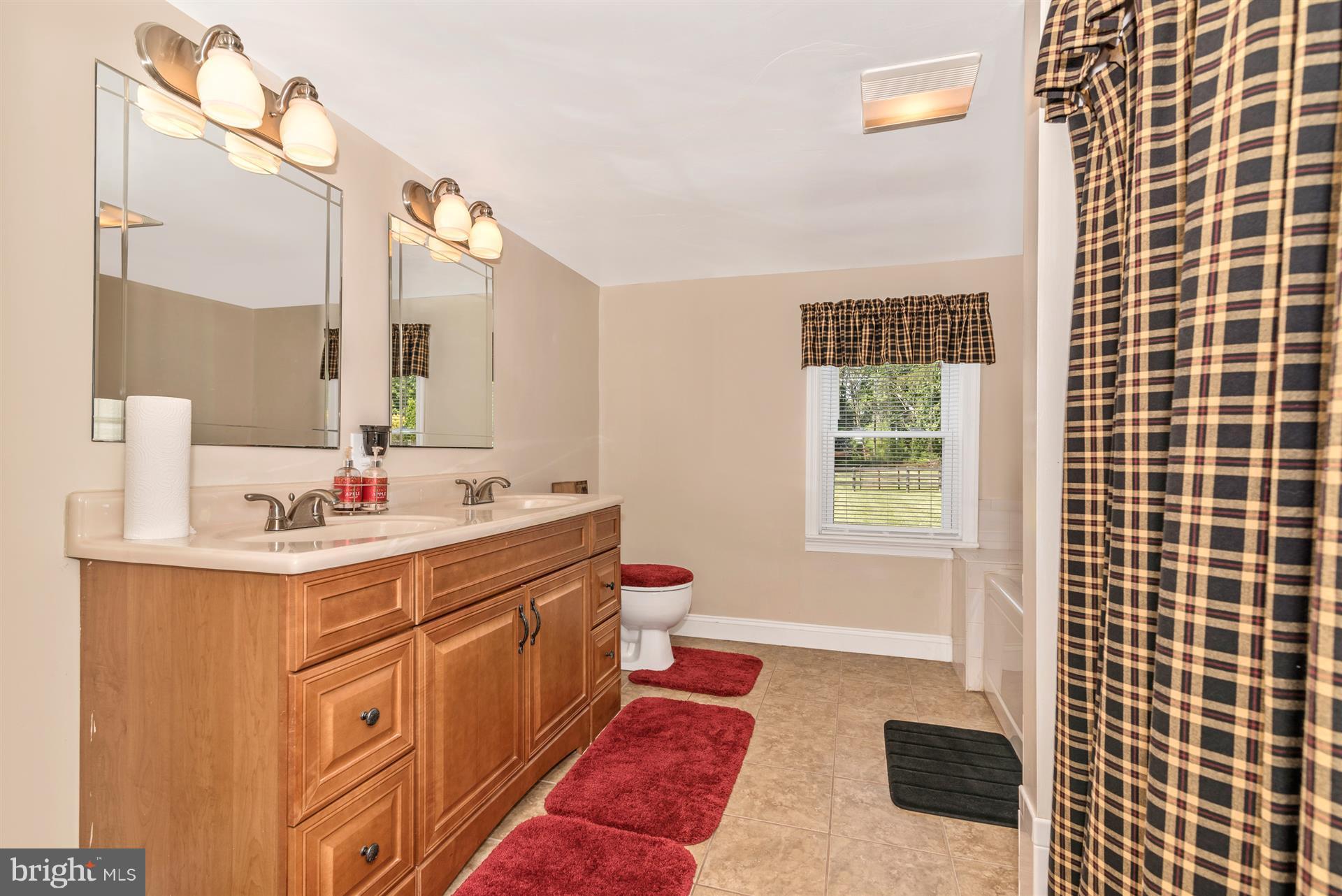 22114 Pondsville Road Smithsburg, MD 21783 - Photo 10 of 30 Bath (Master)