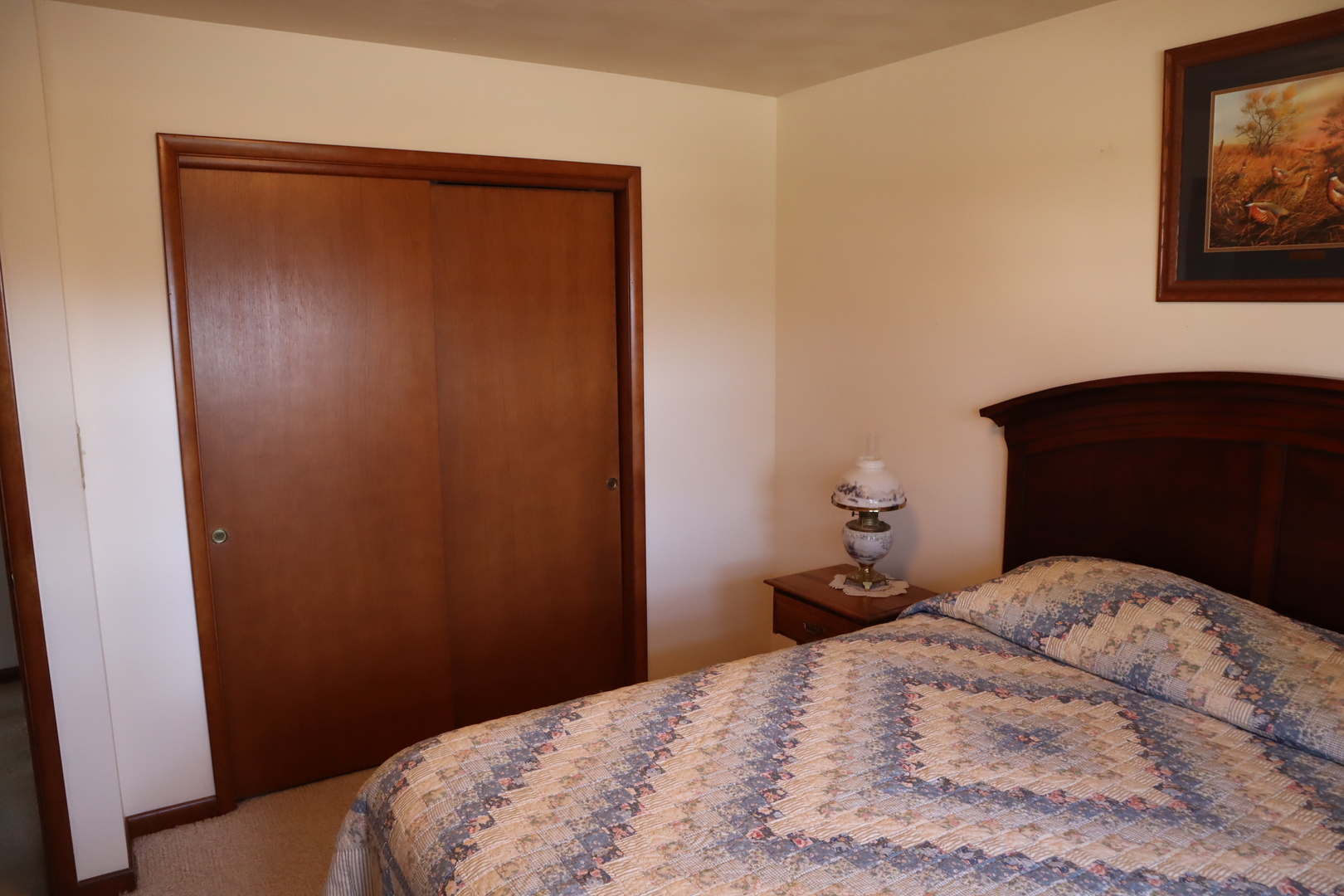 111 Wolf Street Walnut, IL 61376 - Photo 10 of 22