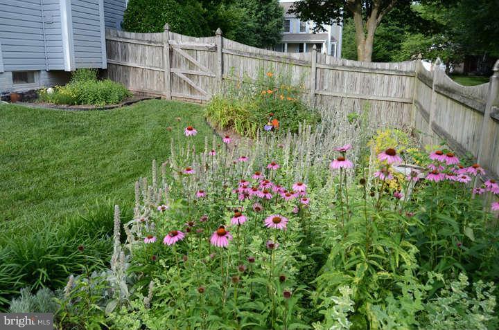 12561 Rock Ridge Road Herndon, VA 20170 - Photo 14 of 30 Perennials galore