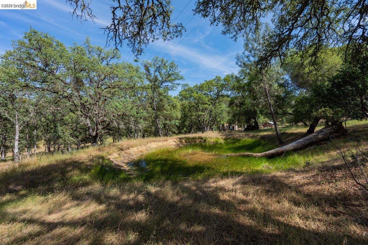 0 Pool Station Road Angels Camp, CA 95222 - Photo 27 of 28