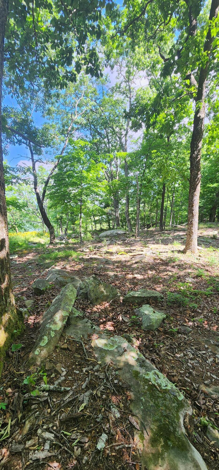 0 Roth Point Road, Unit 5 Altamont, TN 37301 - Photo 39 of 53 1000051989
