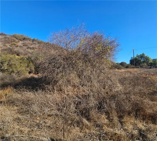 a view of a dry yard with mountains in the background