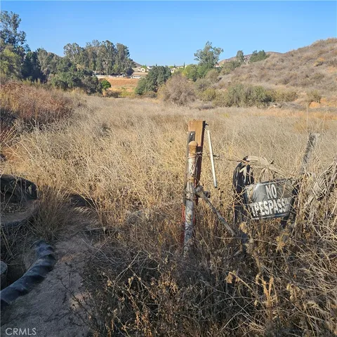 a view of a dry yard with trees and houses in the back