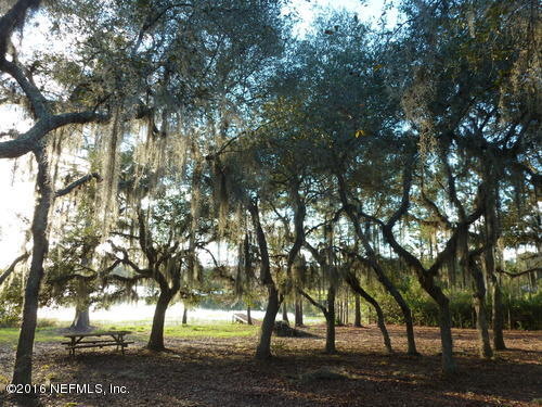 313 Neal Road Hawthorne, FL 32640 - Photo 4 of 15 121245-1449028463764