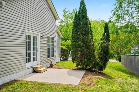 a view of a backyard with plants and a garden