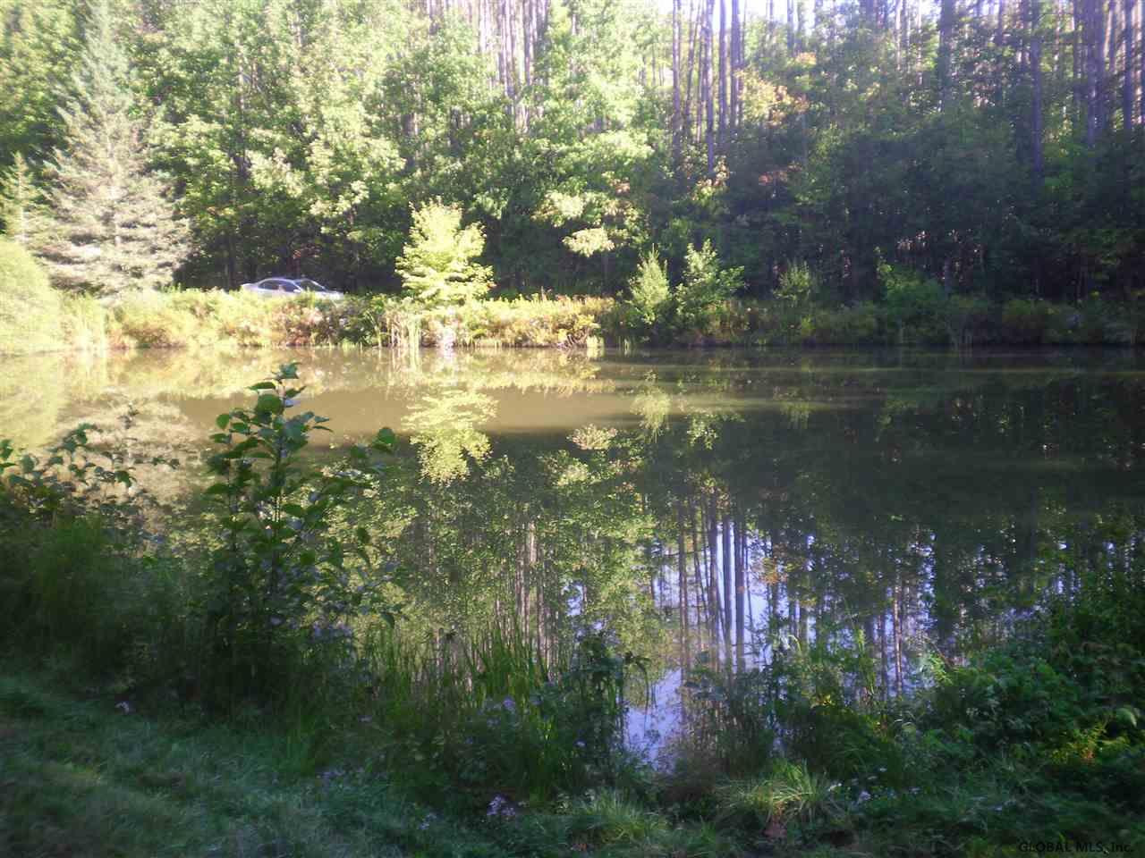 134 Beaver Pond Road Summit, NY 12093 - Photo 8 of 12 Photo 8
