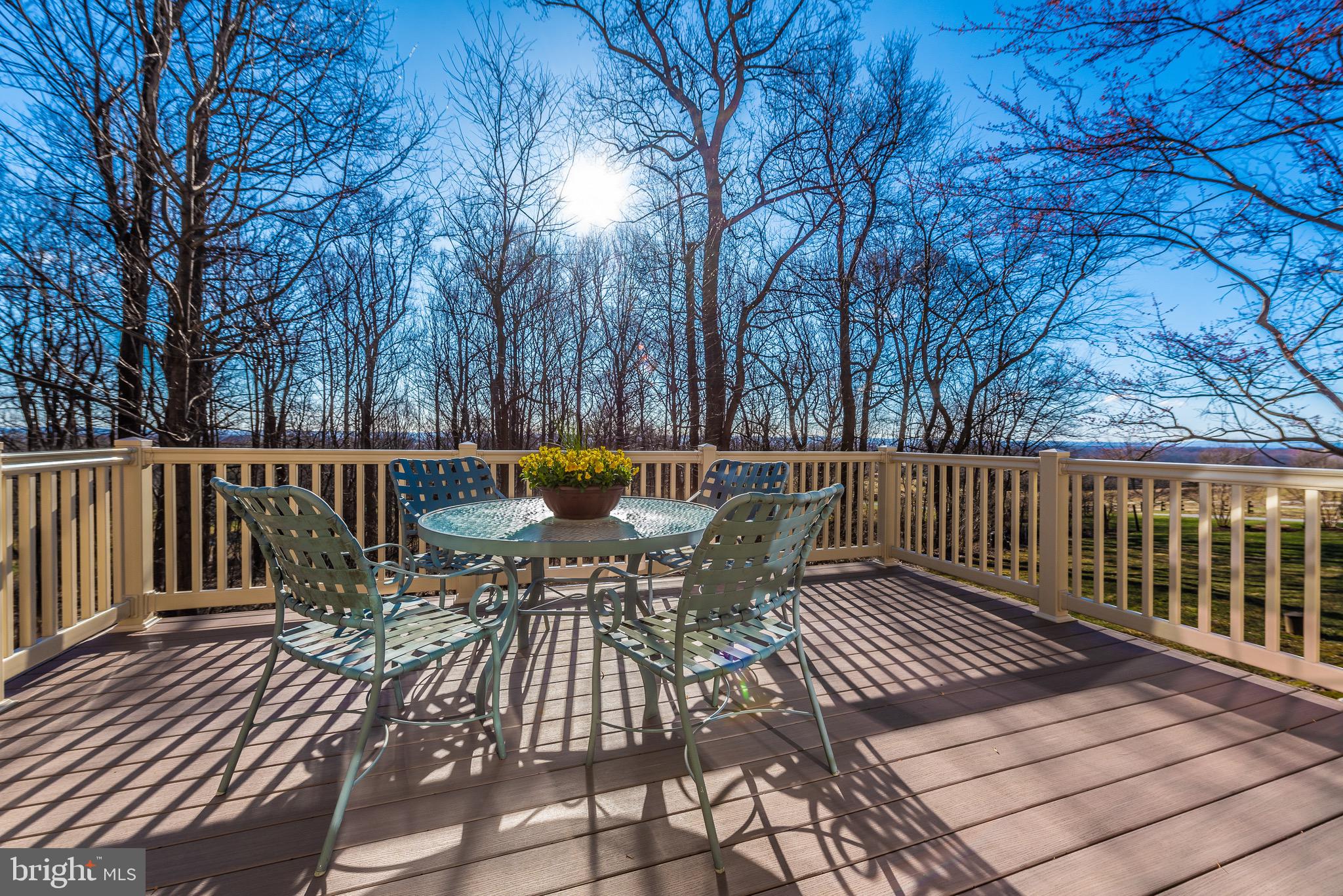 9817 Fox Road Frederick, MD 21702 - Photo 14 of 73
