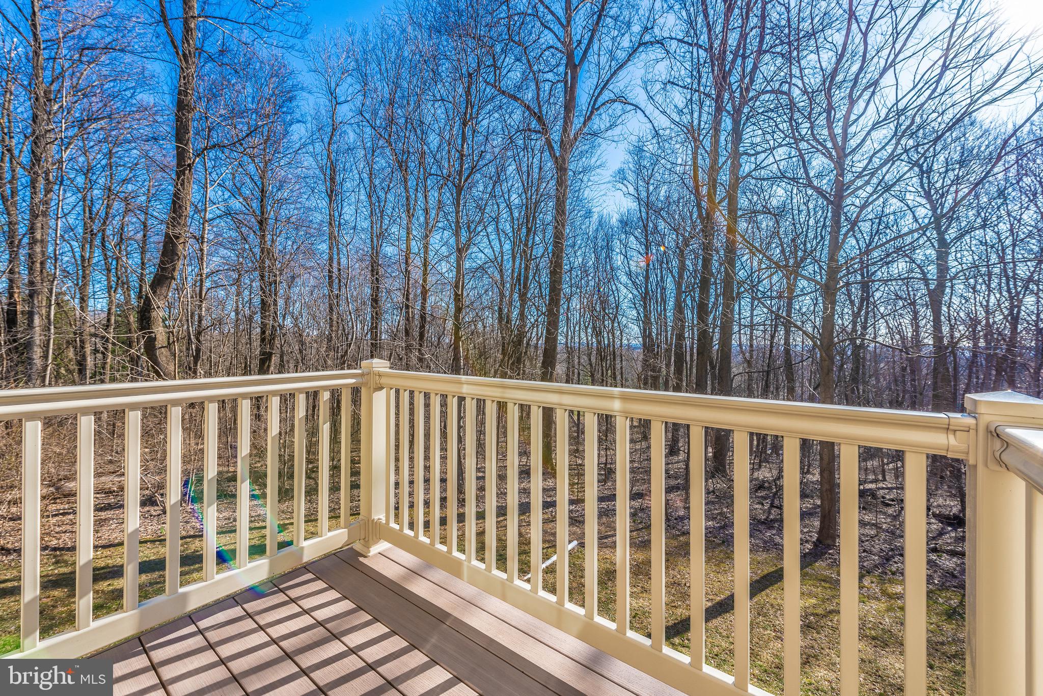 9817 Fox Road Frederick, MD 21702 - Photo 30 of 73
