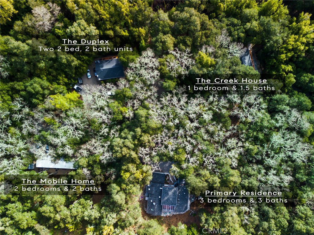 a view of a fire pit with large trees