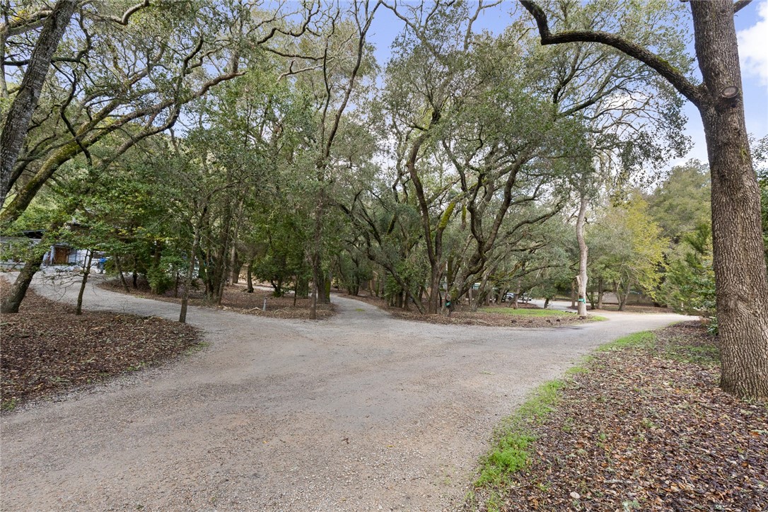 16366 Morro Road Atascadero, CA 93422 - Photo 2 of 69 a backyard of a house with lots of green space