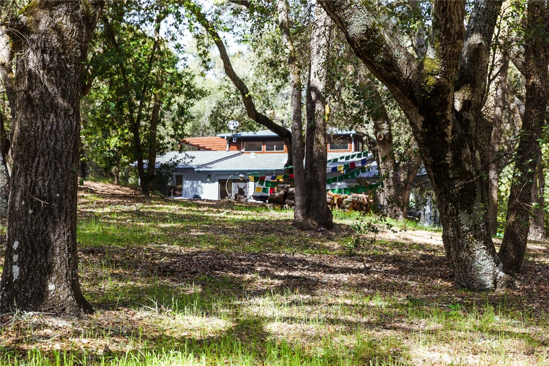 16366 Morro Road Atascadero, CA 93422 - Photo 25 of 69 a view of a house with a yard
