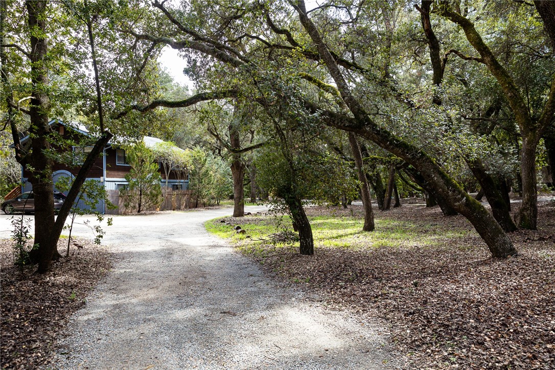 16366 Morro Road Atascadero, CA 93422 - Photo 39 of 69 a view of yard with tree