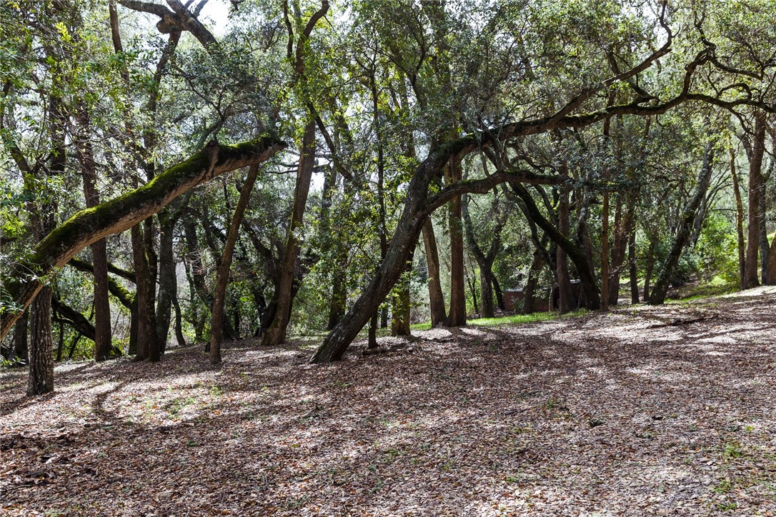 16366 Morro Road Atascadero, CA 93422 - Photo 63 of 69 a view of outdoor space with trees