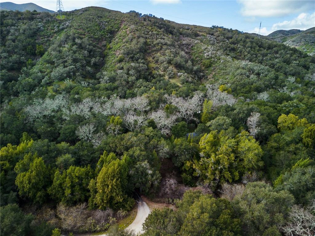 16366 Morro Road Atascadero, CA 93422 - Photo 65 of 69 Scenic scope of property