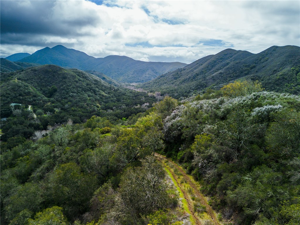 16366 Morro Road Atascadero, CA 93422 - Photo 66 of 69 Fire road at top of ridgeline