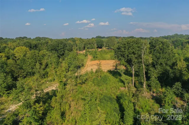 a view of a yard with plants and a bench under it