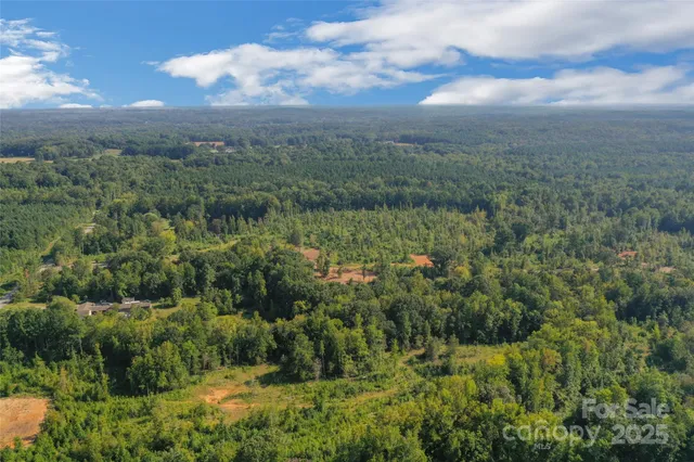 a view of a green field with lots of bushes