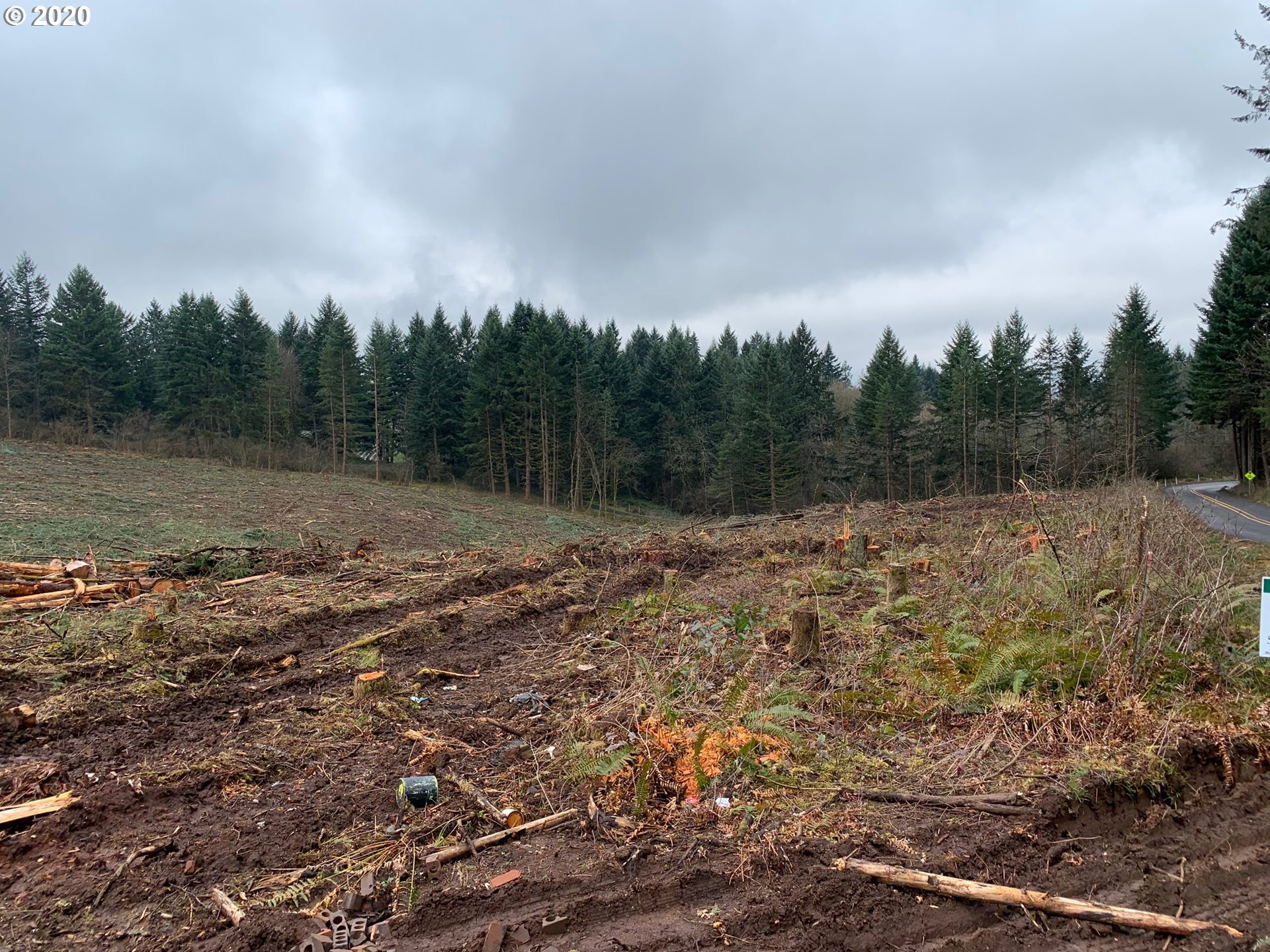 0 South Spangler @kamrath Road Oregon City, OR 97045 - Photo 4 of 4