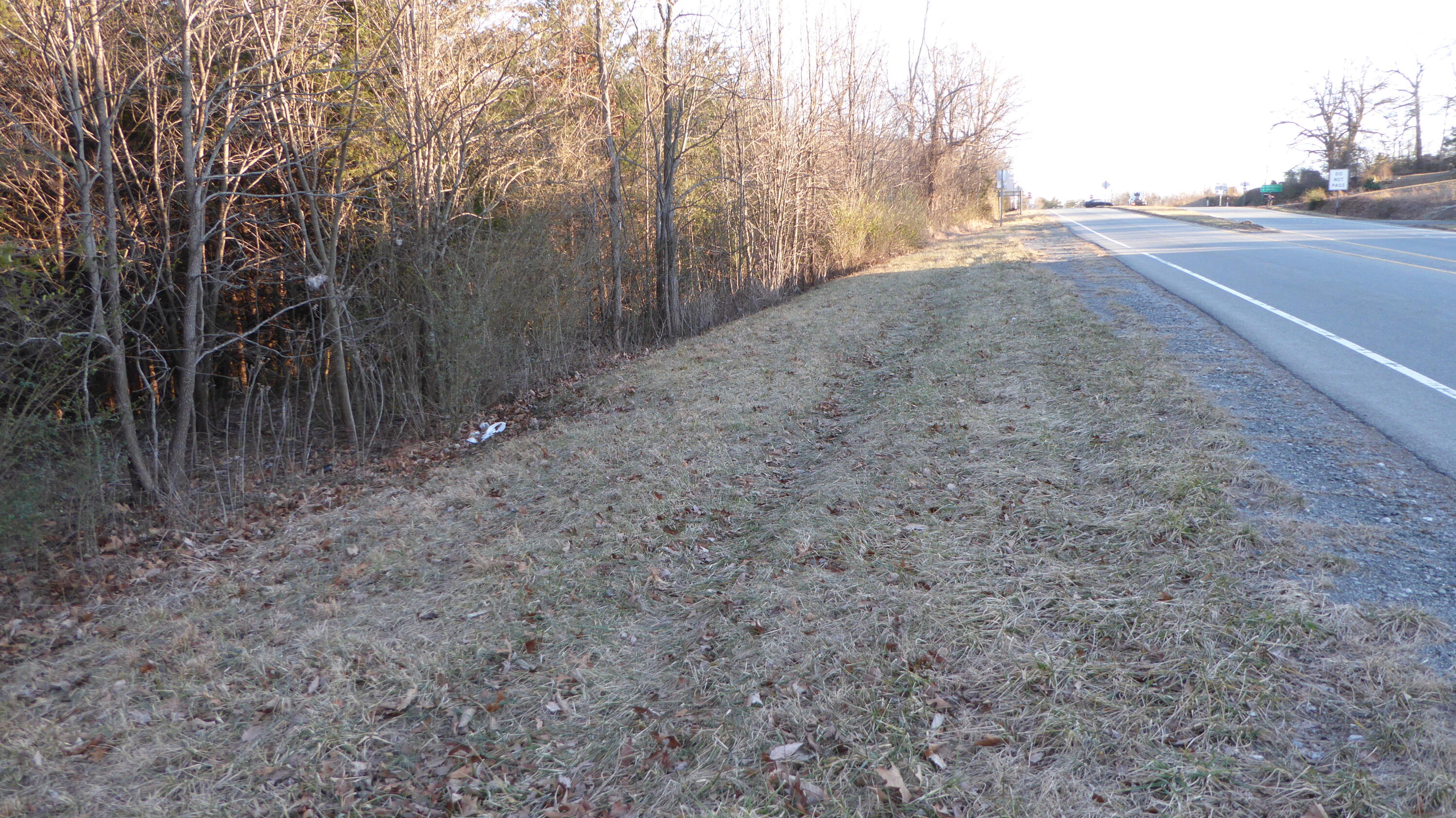 a view of a dry yard with trees