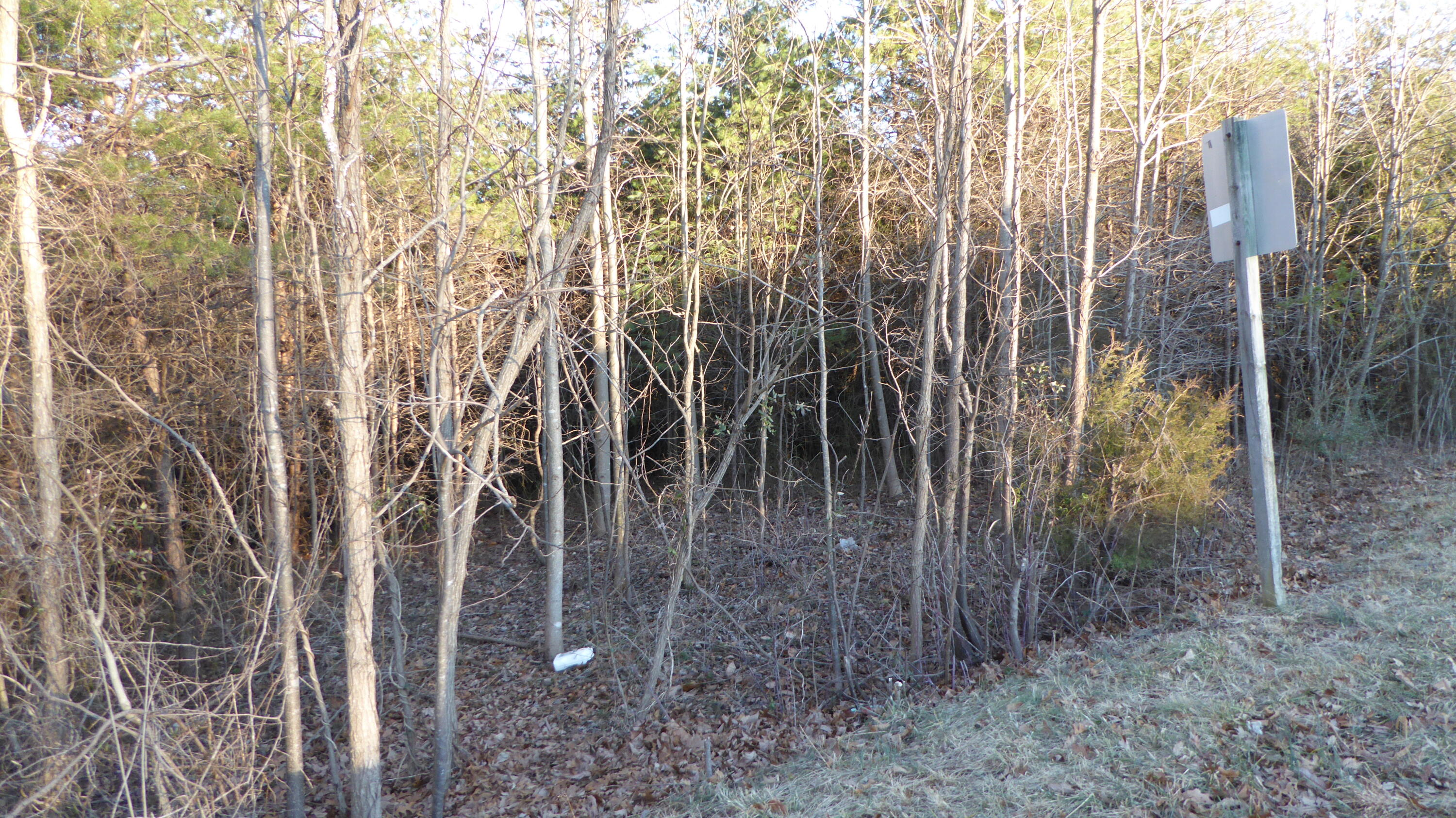 0 South Main Street Rocky Mount, VA 24151 - Photo 4 of 6 a view of a backyard