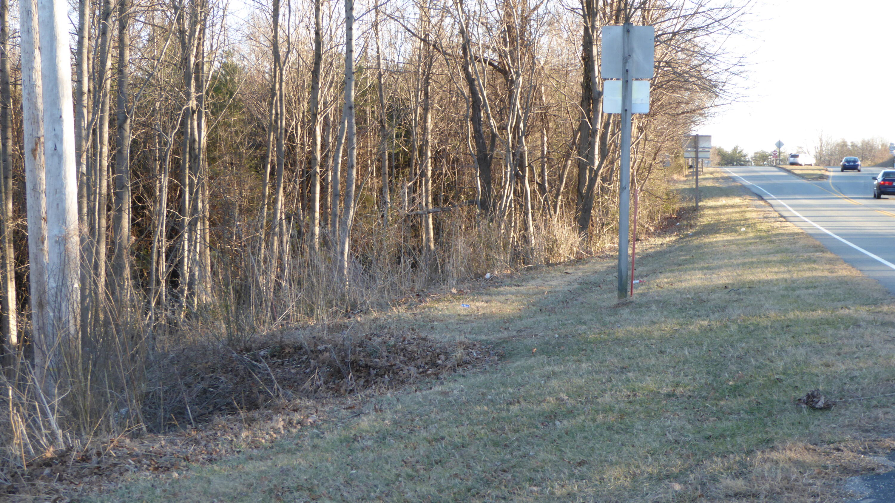 0 South Main Street Rocky Mount, VA 24151 - Photo 6 of 6 a view of a yard with trees