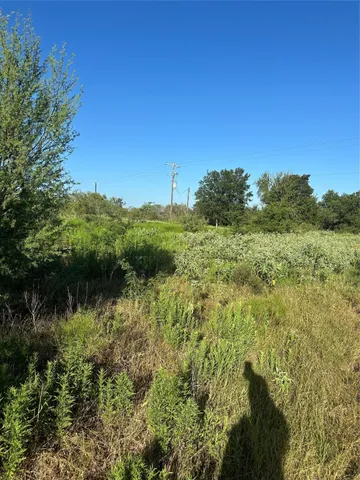 a view of a lake with a tree in a background