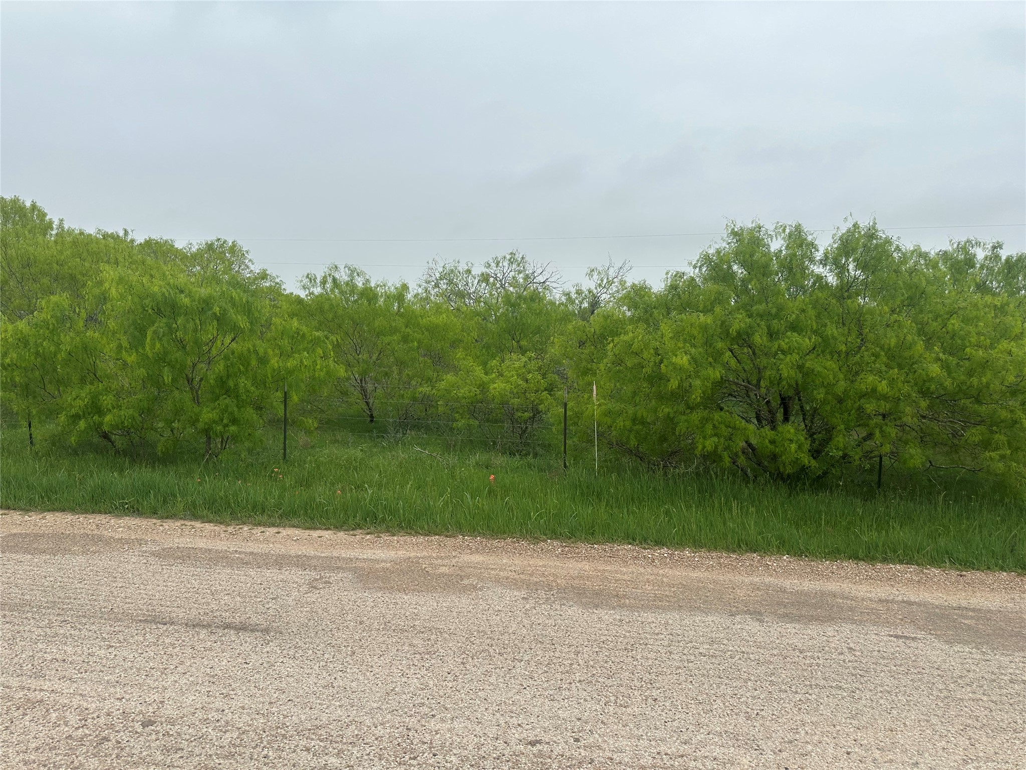 1507 County Road 428 Dime Box, TX 77853 - Photo 11 of 11 a view of a field with a trees in the background