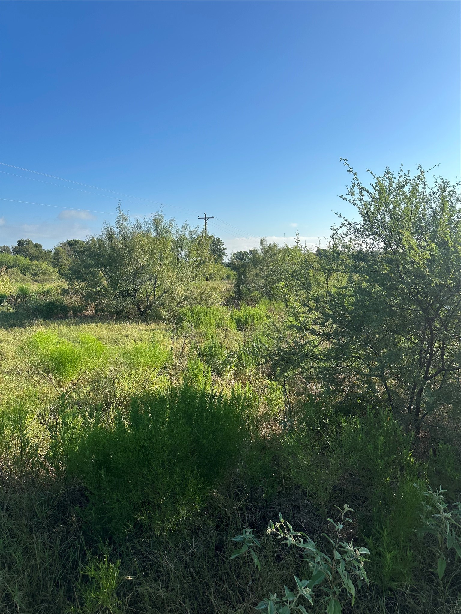 1507 County Road 428 Dime Box, TX 77853 - Photo 2 of 11