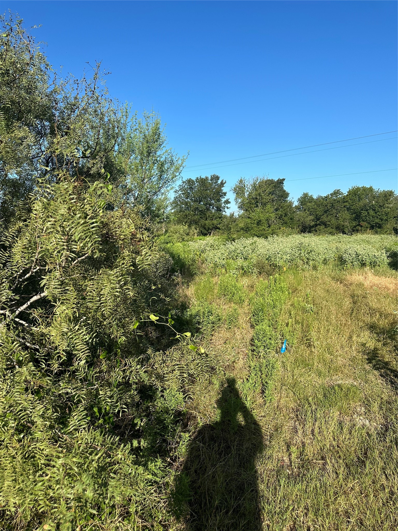 1507 County Road 428 Dime Box, TX 77853 - Photo 3 of 11 a view of a lake with a mountain in the background