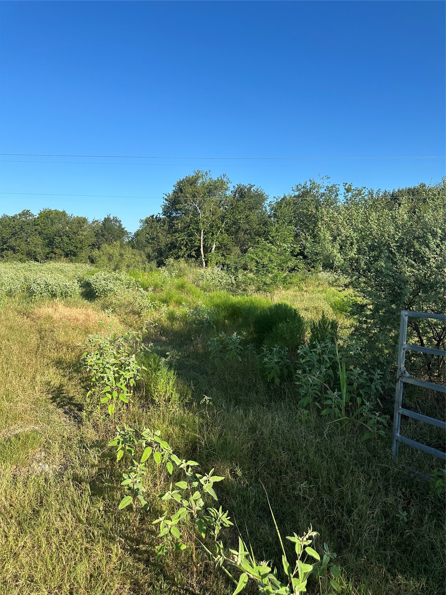 1507 County Road 428 Dime Box, TX 77853 - Photo 4 of 11 a view of a lush green outdoor space with a lake view