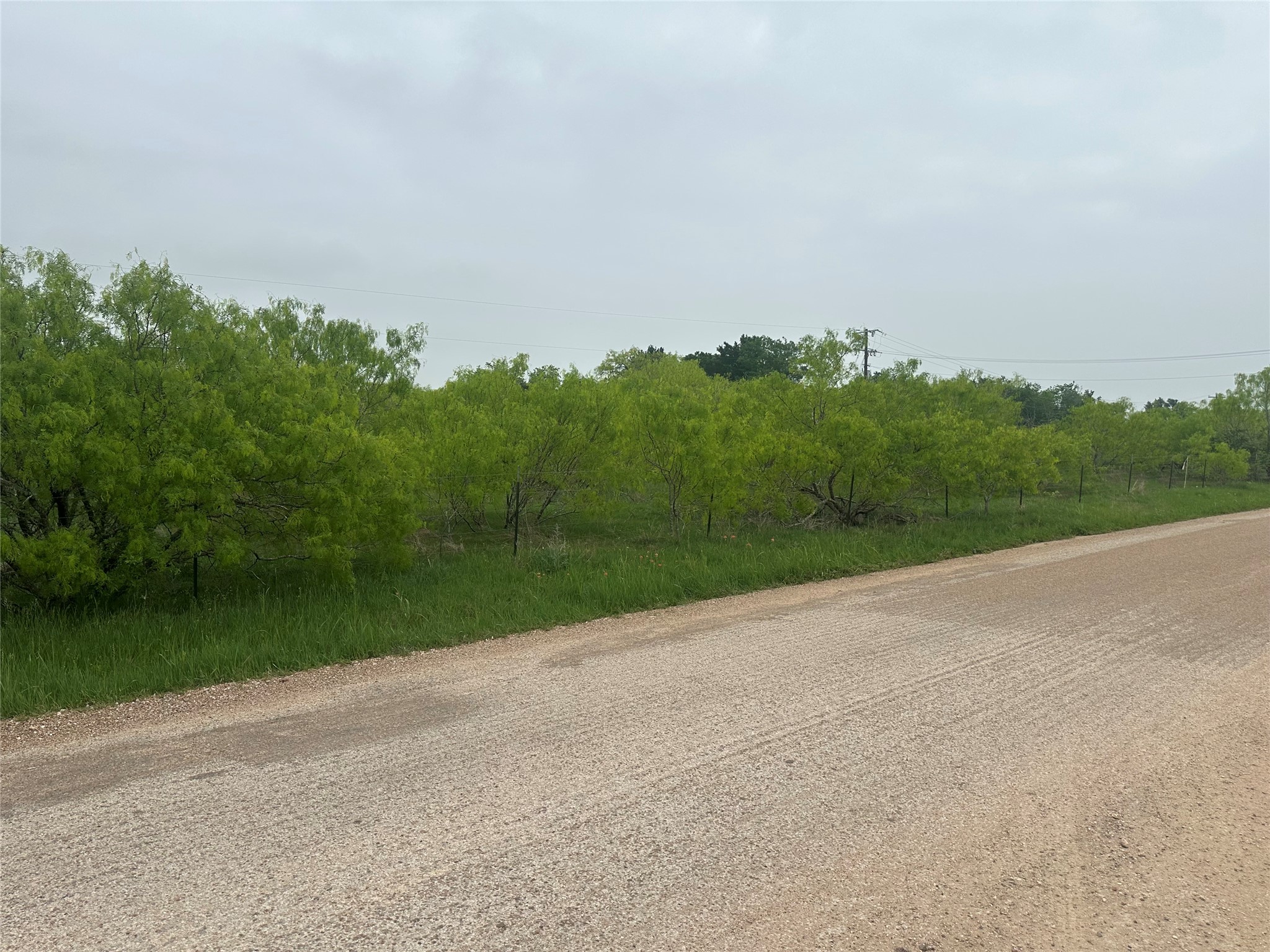 1507 County Road 428 Dime Box, TX 77853 - Photo 6 of 11 a view of a field with a yard