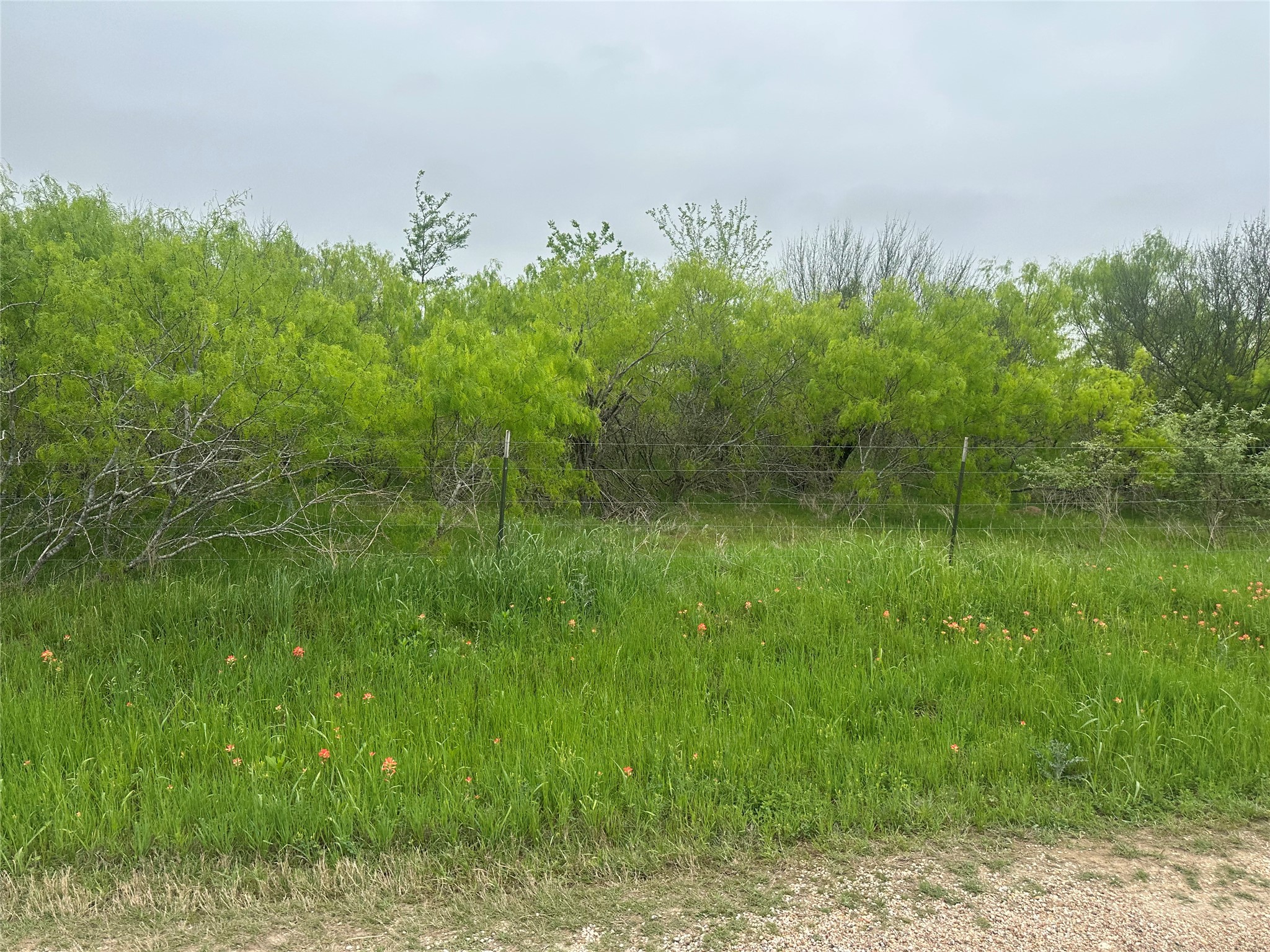 1507 County Road 428 Dime Box, TX 77853 - Photo 7 of 11 a view of a garden