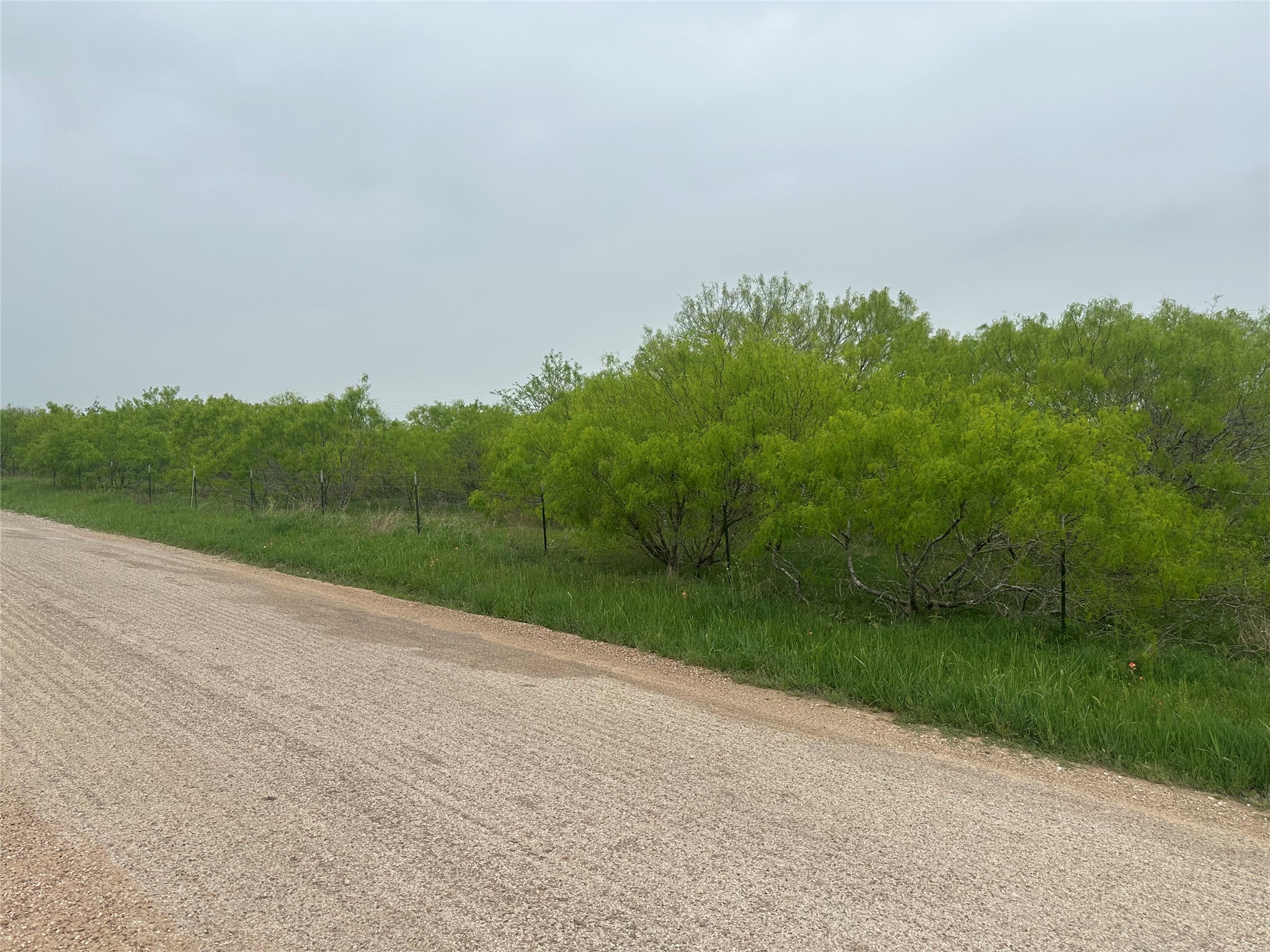1507 County Road 428 Dime Box, TX 77853 - Photo 8 of 11 a view of a field with a tree in the background