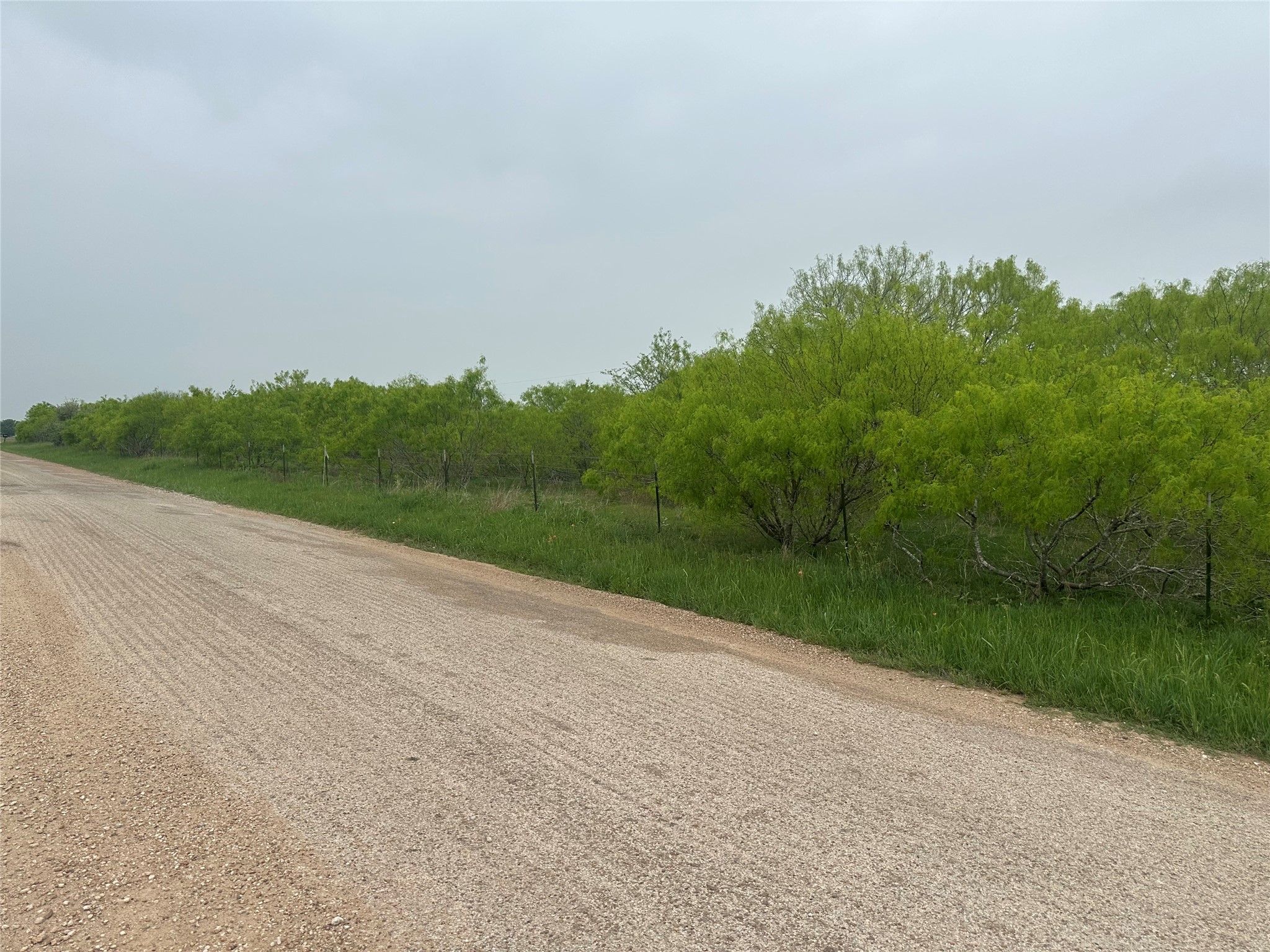 1507 County Road 428 Dime Box, TX 77853 - Photo 9 of 11 a view of a field with next to a yard