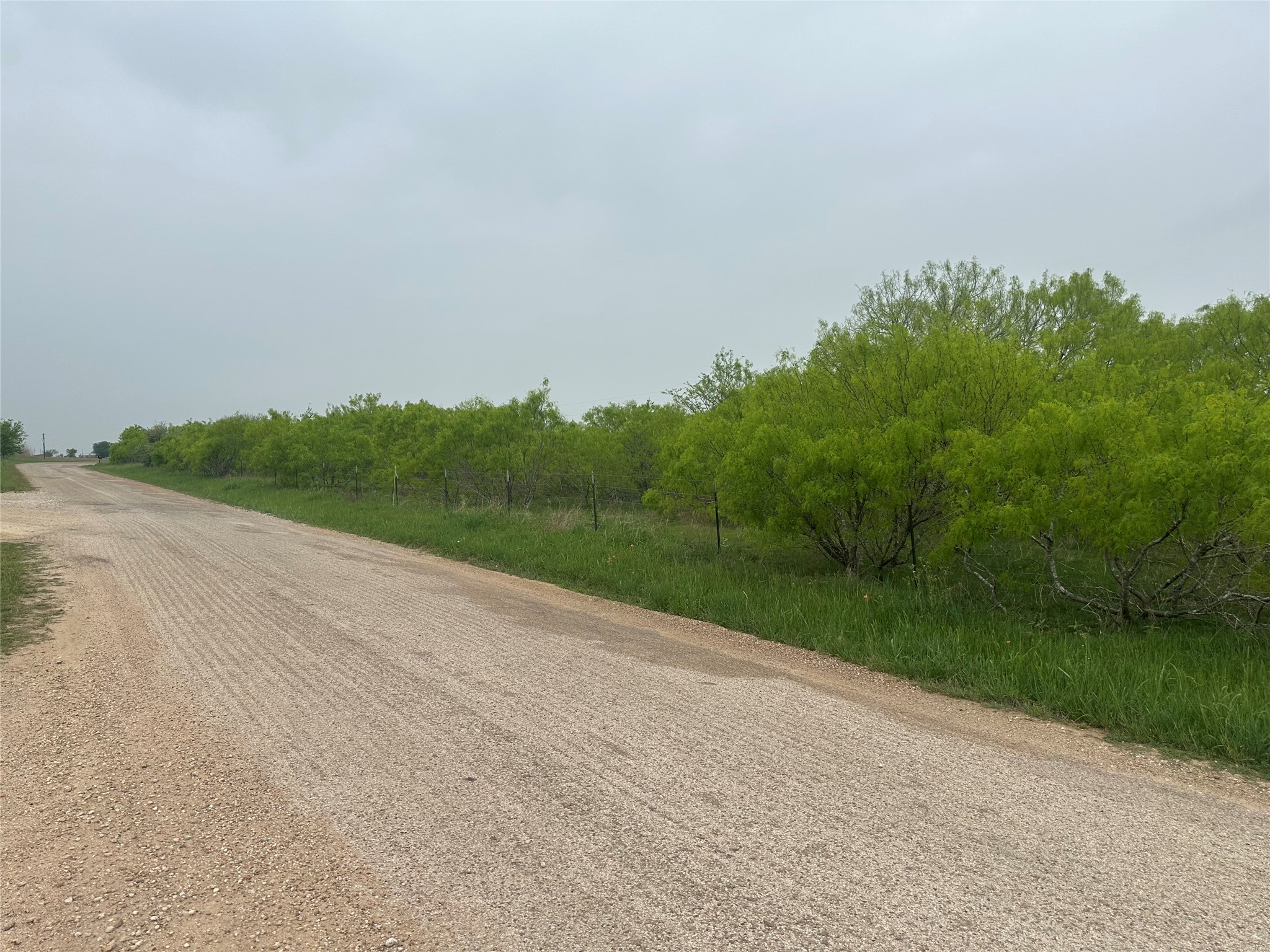 1507 County Road 428 Dime Box, TX 77853 - Photo 10 of 11 a view of a field with next to a road
