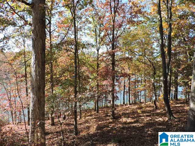 6 County Road, Unit 59 Wedowee, AL 36278 - Photo 1 of 5