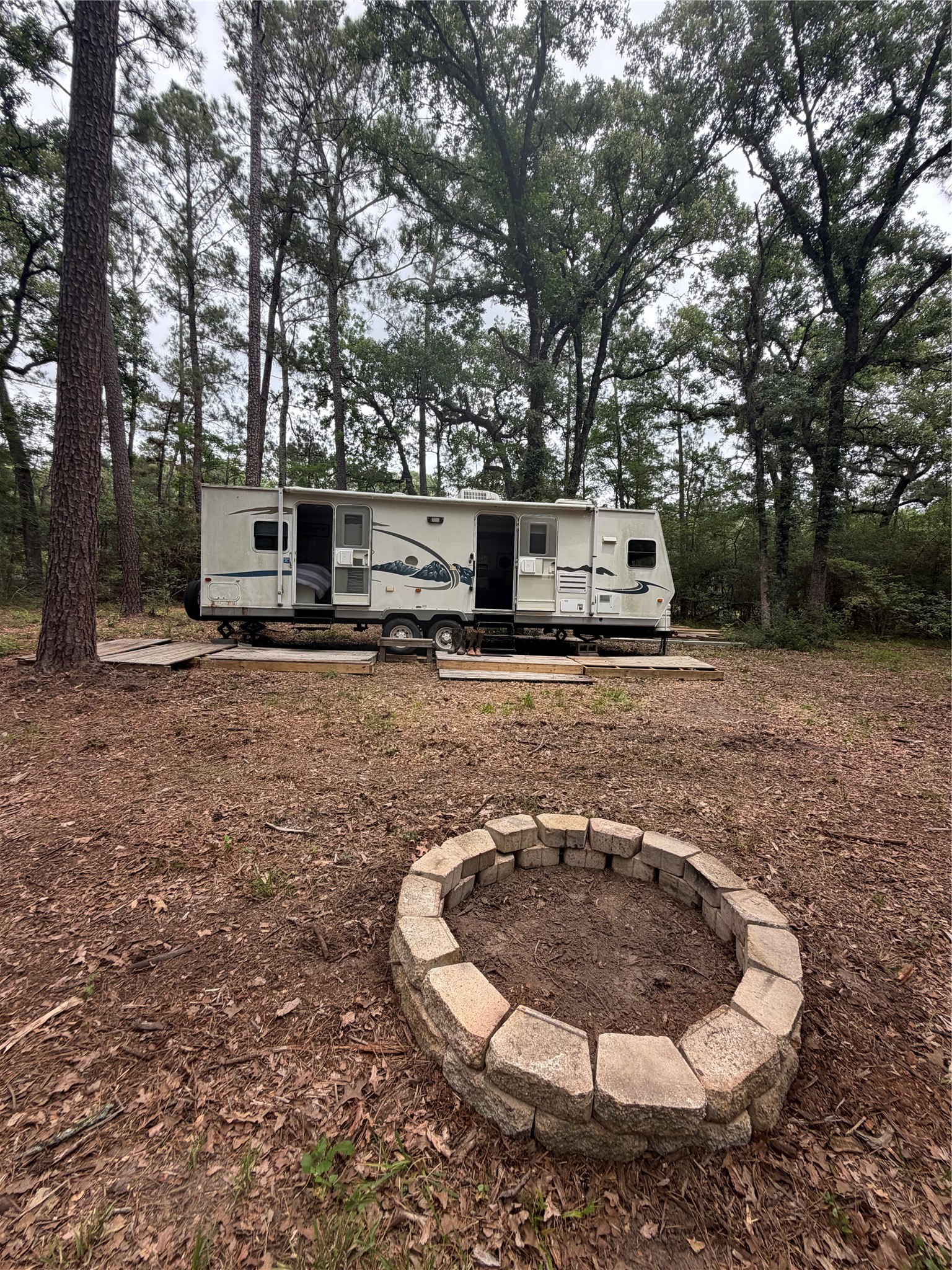 980 N Point North Huntsville, TX 77320 - Photo 12 of 45 1B/1B Camper to convey with tract! Enjoy quiet deer camp nights around the bonfire.