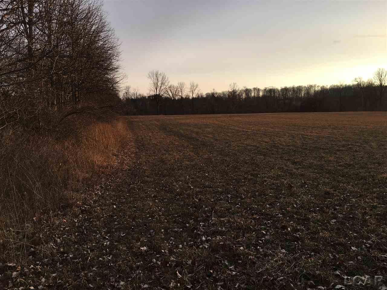 0 Hudson Clinton, MI 49236 - Photo 8 of 13