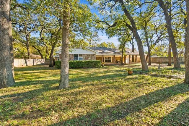 a view of yard with large trees