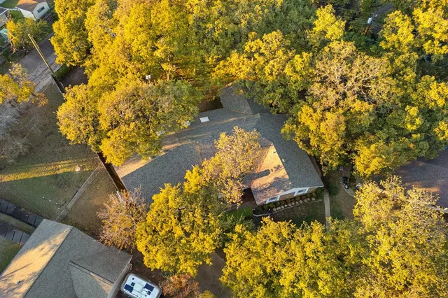 a view of a tree with a yard