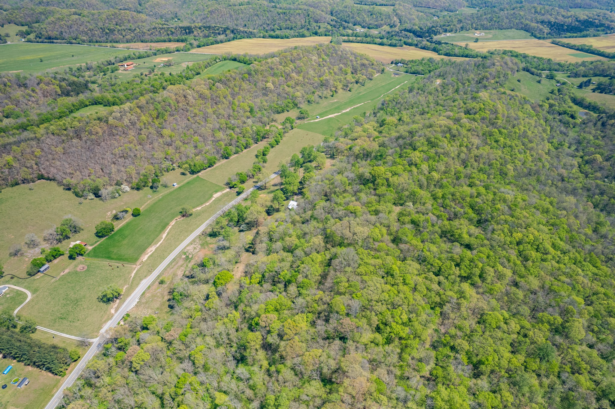 8039 Campbellsville Road Pulaski, TN 38478 - Photo 60 of 100